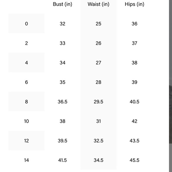 Charlotte Puff Sleeve Mini Dress
Most Of All - Picture 6 of 8